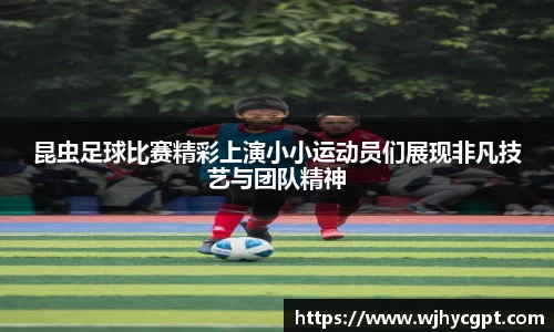 昆虫足球比赛精彩上演小小运动员们展现非凡技艺与团队精神