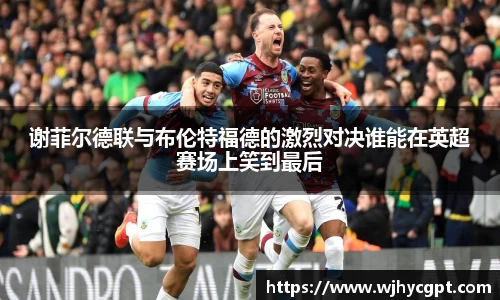 谢菲尔德联与布伦特福德的激烈对决谁能在英超赛场上笑到最后