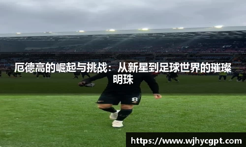金年会